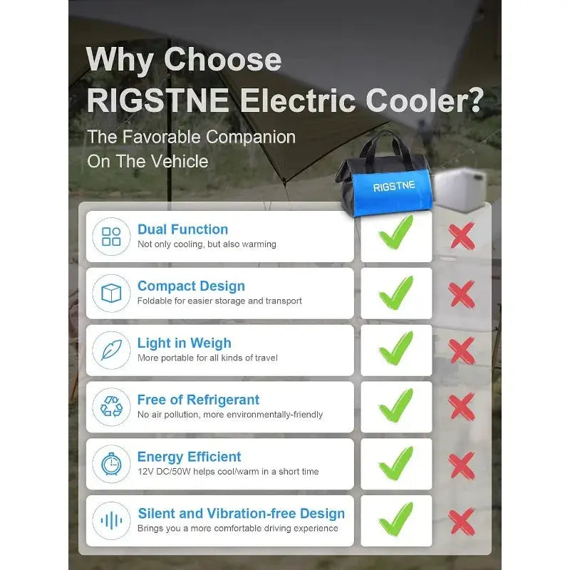 Rigstne Electric Cooler Bag, 12V Thermoelectric Cooler Warmer Plug in for Vehicles, Portable Cooler Refrigerator for Car, RV BrothersCarCare